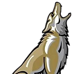 Dakota Ridge High School Football